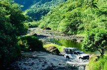 4x4 Safari HEREAKIMANU Tour in the Heart of Tahiti