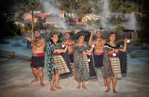 Whakarewarewa Māori Village & Geothermal (Glow worms opt. extra)