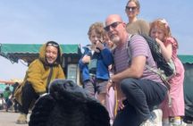 Marrakech by Night Walking Tour: Lights, Colors & Local Secrets