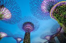 Singapore Marina Bay Night Walk with Spectra and Rhapsody Shows