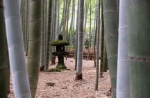 Private tour in Kamakura: Matcha tea tasting & photo shoot