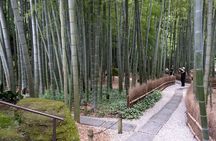 Private tour in Kamakura: Matcha tea tasting & photo shoot