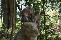 Full-Day Silver Class with Ubud Tour