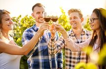 PRIVATE Hunter Valley Premium Wine Tasting Tour (10 hrs)