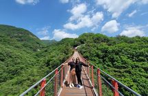 Full day Layover Private DMZ tour from Cruise and Flight