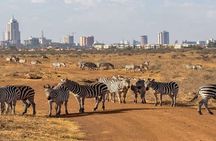 Nairobi National Park Half-Day Tour; Free Wi-Fi connection