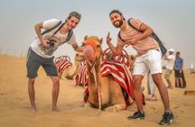 Morning Desert Safari, Dune Bashing, Camel Ride and Sandboarding