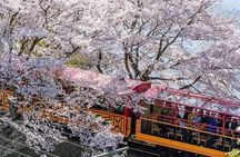 Arashiyama Sagano Romantic Train，Fushimi Inari Taisha & Nara Park