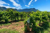 PRIVATE Hunter Valley Premium Wine Tasting Tour (10 hrs)