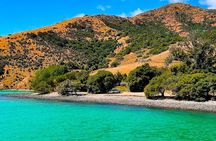 Private Akaroa Day Tour From Christchurch