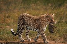 2 Nights 3 Days Tour to Tsavo East and Tsavo West National Park