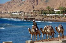 Blue Hole Ras Abu Galum Blue Lagoon Snorkeling Trip From Dahab