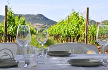 Wine Tasting with Local in the Vineyard in Alghero