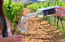 Wine Tasting with Local in the Vineyard in Alghero
