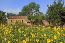 Roots and Flavours Cooking School between Tradition and Sustainability