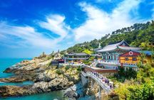 Private Minibus Tour in Busan for Cruise Ship Guests 8-15 People