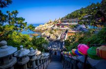 Private Minibus Tour in Busan for Cruise Ship Guests 8-15 People