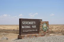 Group Sharing Camping Safari 