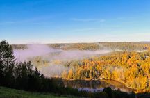 Oslo: Scenic Forest Hike with Dog & Local Guide