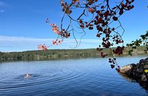 Oslo: Scenic Forest Hike with Dog & Local Guide