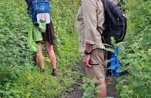 Experience the Midrange Safari in Tanzania 