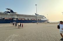 Udawalawe Safari & Elephant Orphanage visit from Hambantota Fort