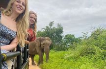 Udawalawe Safari & Elephant Orphanage visit from Hambantota Fort