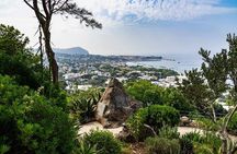 Tour Gardens La Mortella