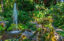 Tour Gardens La Mortella