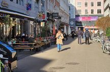 Copenhagen Walking Tour: Discover the Danish Way of Life