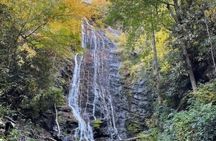3.5-4 HR Smoky Mtn. Cherokee Eco Elk Safari Jeep Adventure 