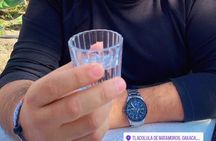 The Mezcal Tour