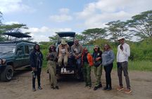 Private Nairobi National Park Tour & Sheldrick or Giraffe