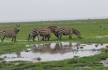 Half Day Jeep 4x4 Nairobi National Park Safari