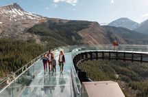 Columbia Icefield Adventure,Bow Lake,Peyto Lake in Banff & Jasper