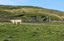 Cliffs of Moher Half Day Private Tour from Galway