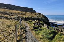 Cliffs of Moher Half Day Private Tour from Galway
