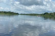 Canoeing in The Amazon Rainforest