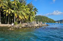 Bora Bora Complete tour of the lagoon in 2H
