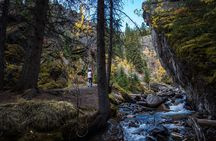 Banff Thermal Water and Hidden Waterfalls Walking Tour