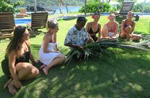 Fiji Island Cultural Experience with Lunch 
