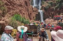 Discover Ouzoud Waterfalls on a Day Trip from Marrakech