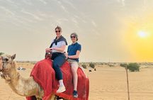 Dubai:VIP Desert Safari, Pick up/Drop off, CamelRide, BBQ & Shows
