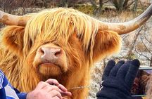 Edinburgh: Lochs, Castles, Glencoe, Coos & Highlands Tour