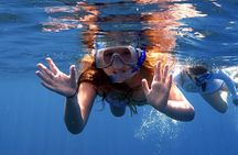 Lana'i Snorkel And Dolphin Quest with Maui Turtle Spot Tour