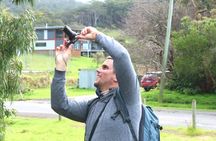 Full-Day Great Ocean Road and 12 Apostles Sunset Tour from Melbourne