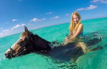 Horse Riding Adventure on the Sea and Desert in Hurghada