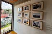 Diego Rivera Frida Kahlo Studio House Tour