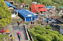 Annapurna Base Camp Trek 5 Days from Pokhara