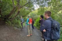 Palmer Alaska Hike and History Trip
